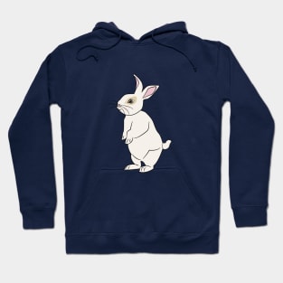 Rabbit Hoodie